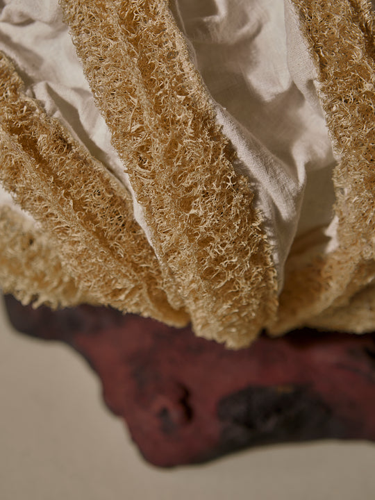 BÌNH BA Lámpara de mesa