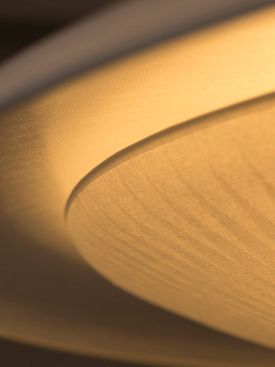 Diva ceiling lamp by Céline Wright