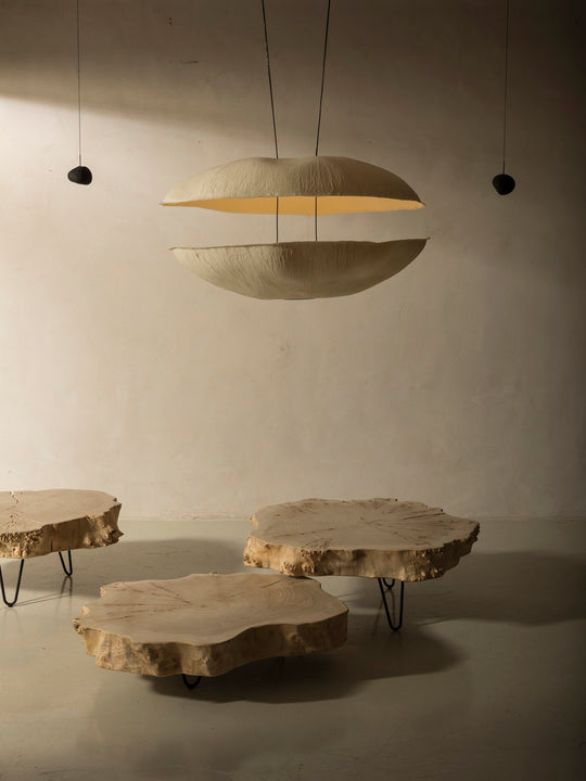 Intoyo Ceiling Lamp by Céline Wright