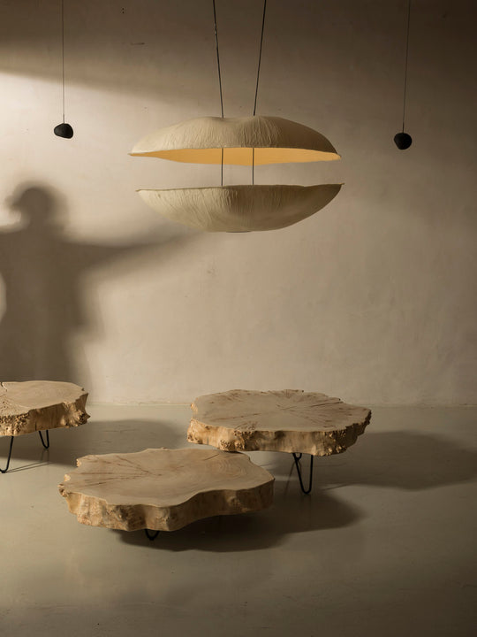 Intoyo Ceiling Lamp by Céline Wright