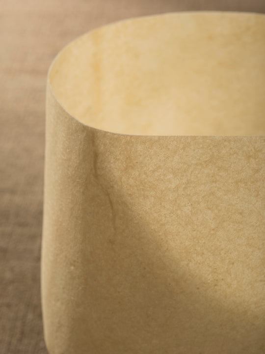 The Mush Lamp (Chub) by Kilzi