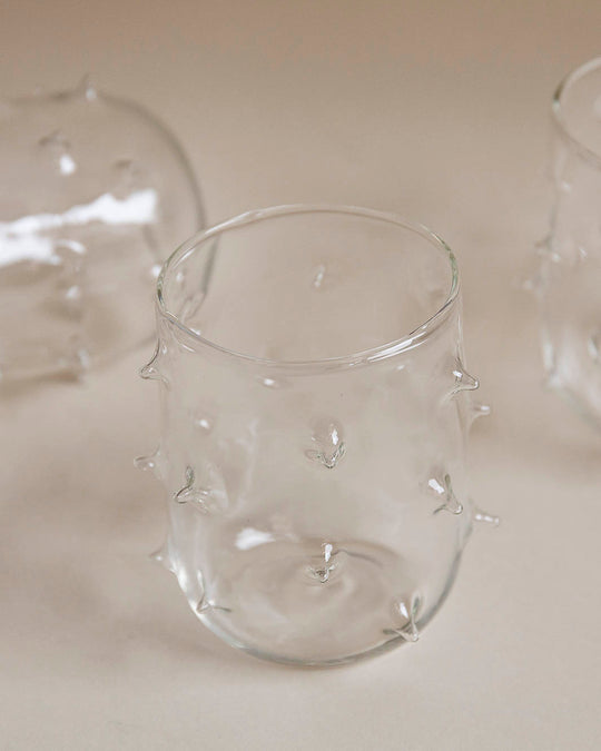 Glass puffer fish water