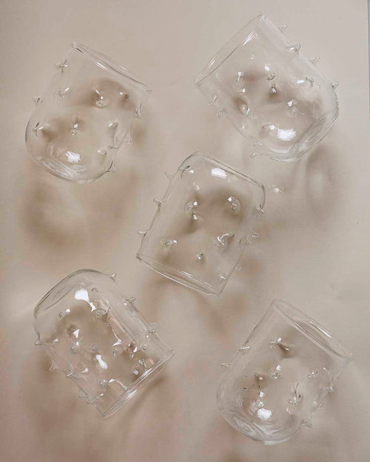 Glass puffer fish water