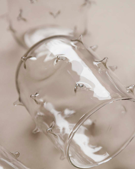 Glass puffer fish water