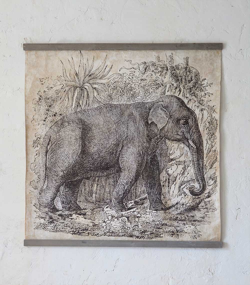 Elephant B&amp;W (120x120cm)