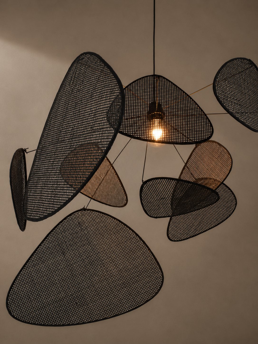 Ceiling lamp "Cannée Screen Noir"