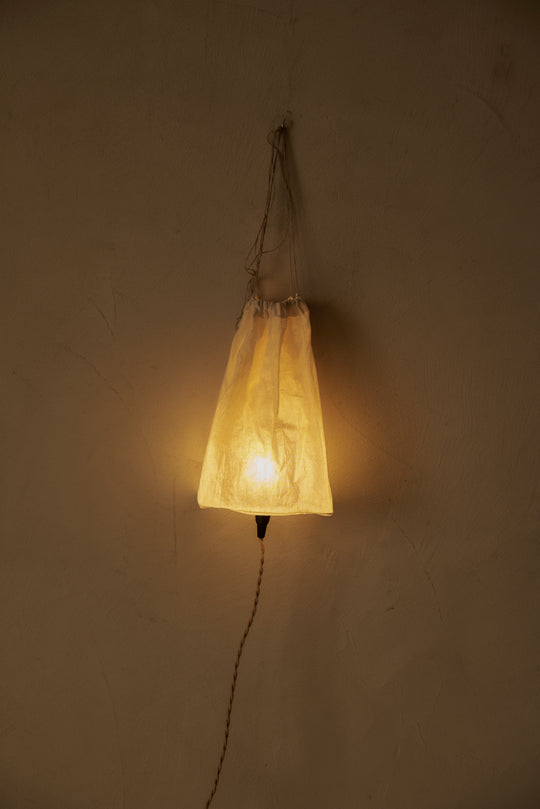 Musa Pink Ceiling Lamp