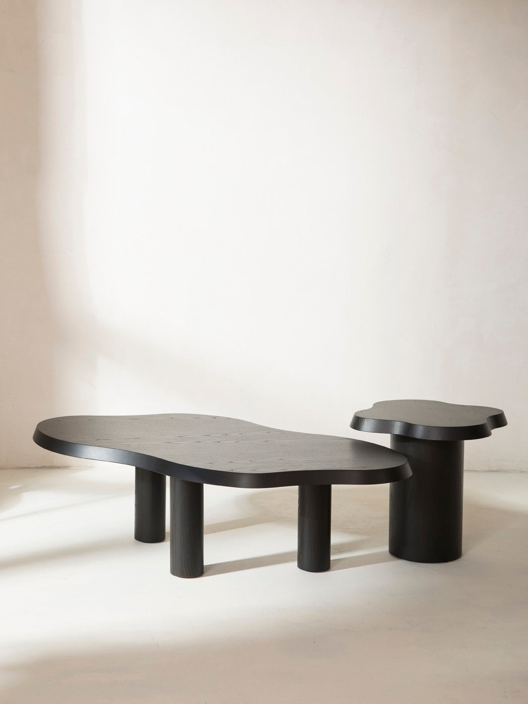 Organic Black Ash Coffee Table L