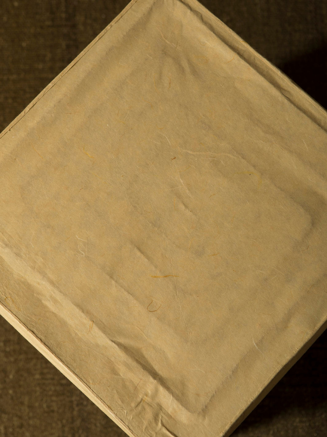 Yakisugi & Xuan Paper Lamp