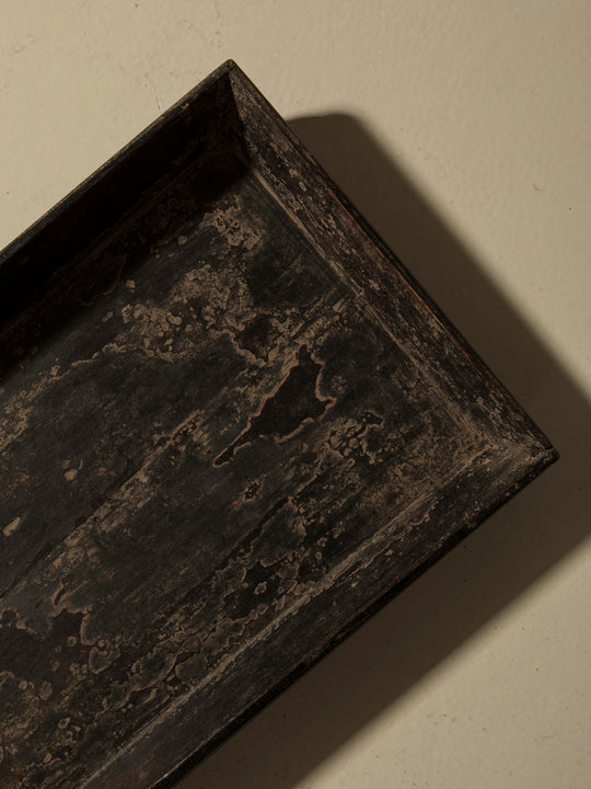 Bandeja olmo negro IV