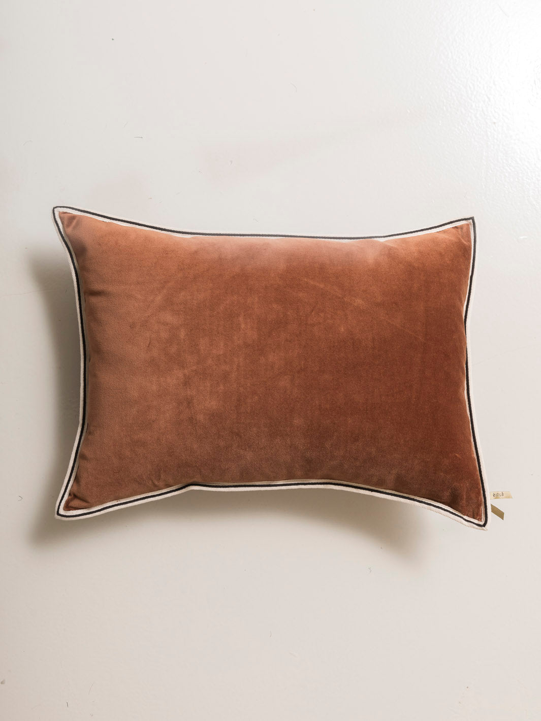 ARISTOTE Pain brûlé cushion