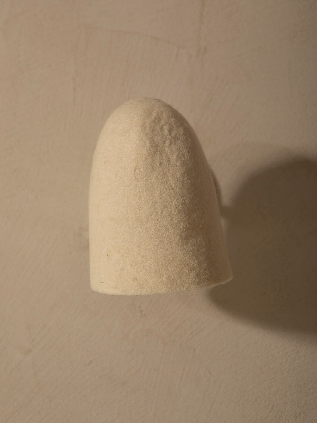 Felt lampshade wall light with adjustable light