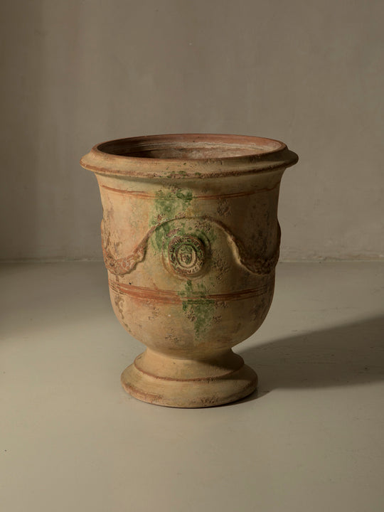 Maceta Anduze II