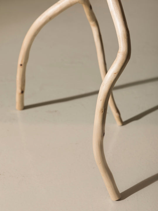 Lampe Branche Naturelle