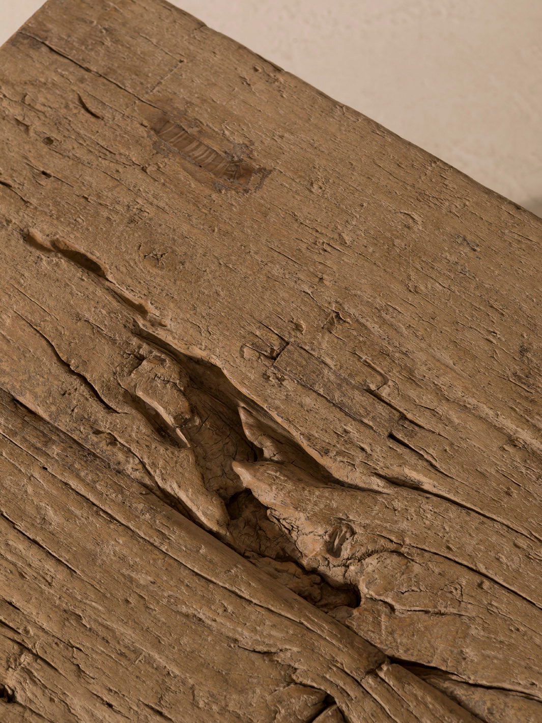 Chinese Elm Coffee Table