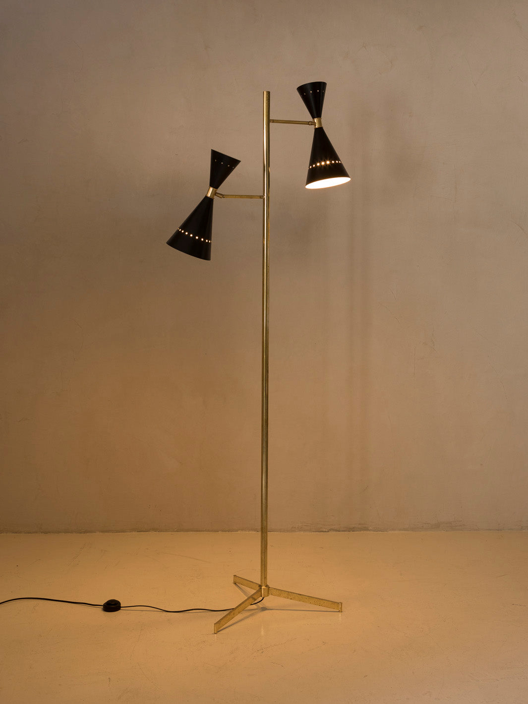 Brass floor lamp with black tulips