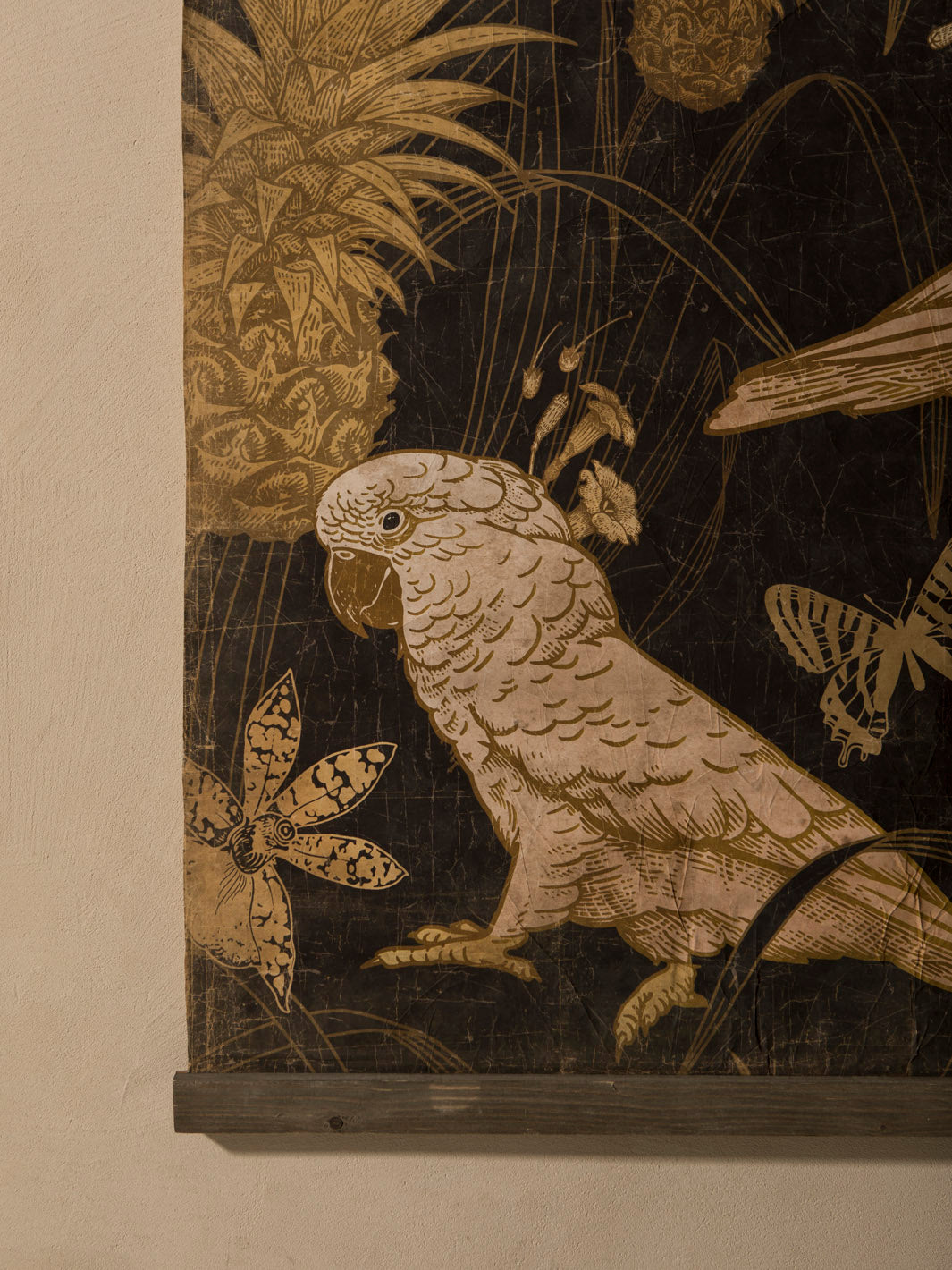 Perroquet Blanc 120x90cm.