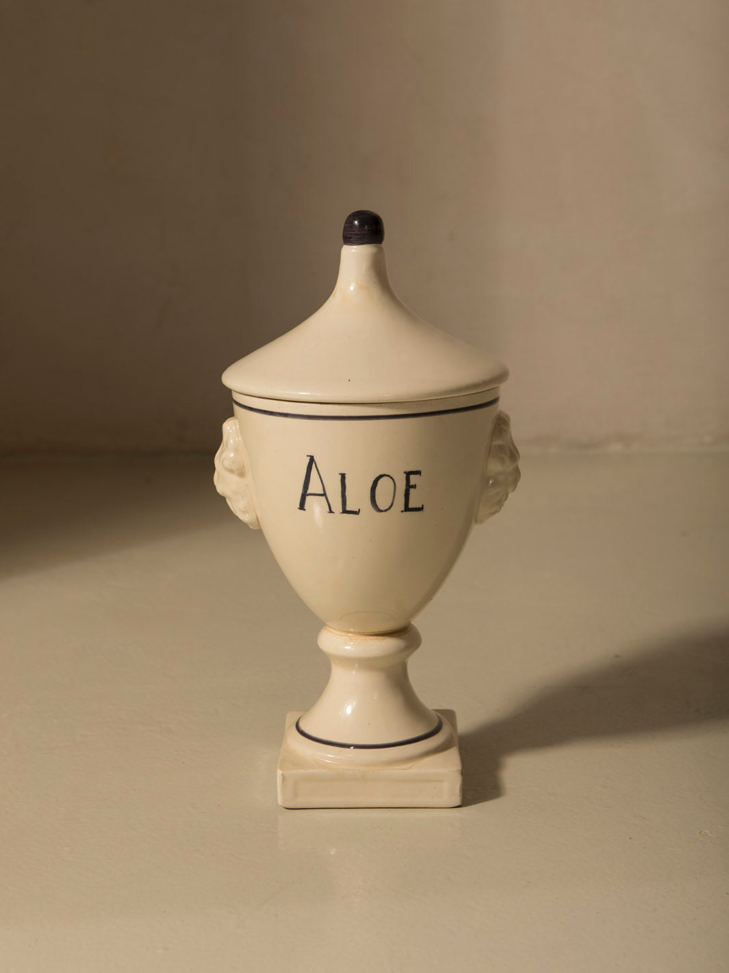Venetian Albarello Aloe 1960s