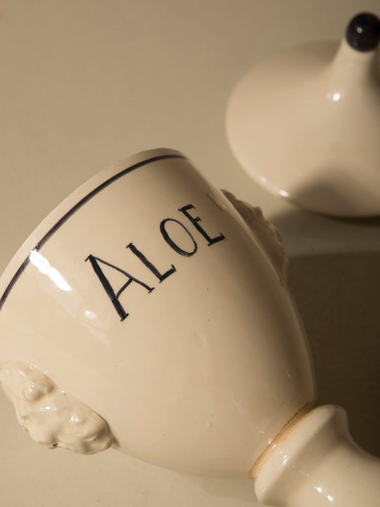 Venetian Albarello Aloe 1960s