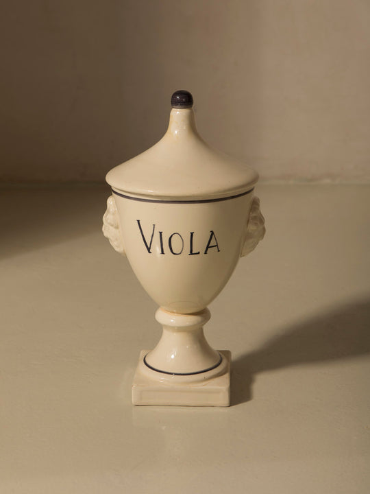 Viola Venetian albarello, 1960s