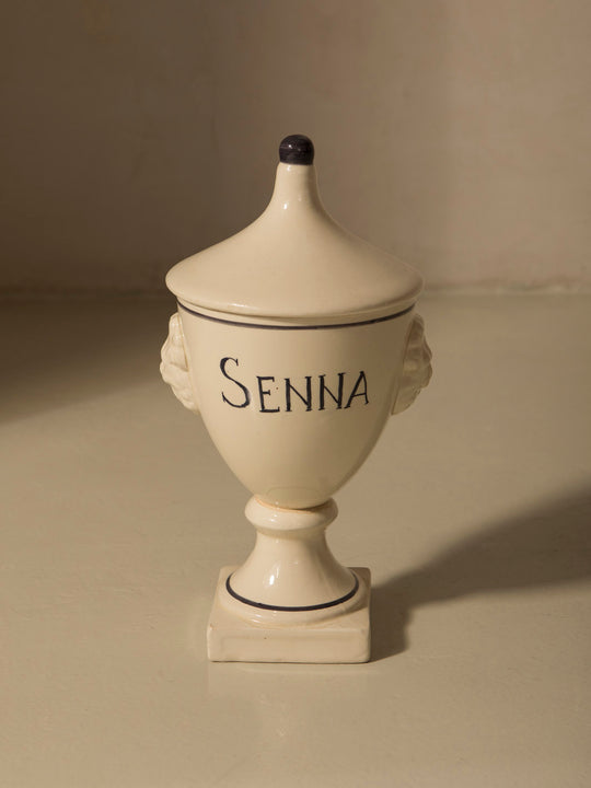 Venetian Albarello Senna 1960s