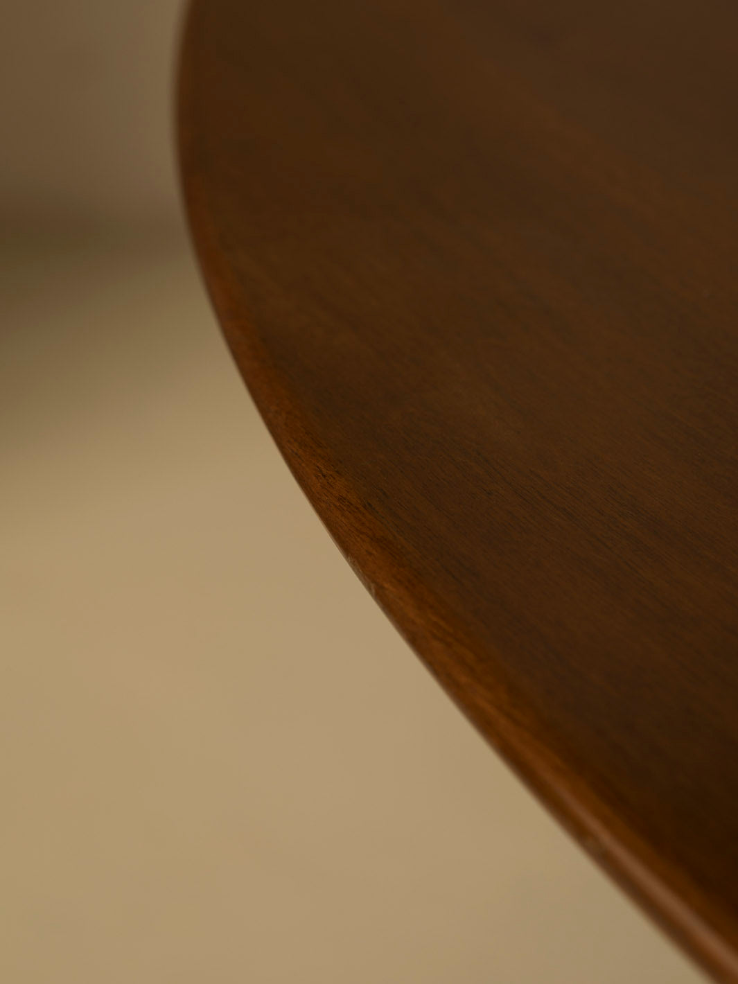 Beppe Vida Agárico Model 60s Table