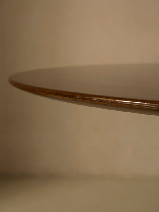 Beppe Vida Agárico Model 60s Table