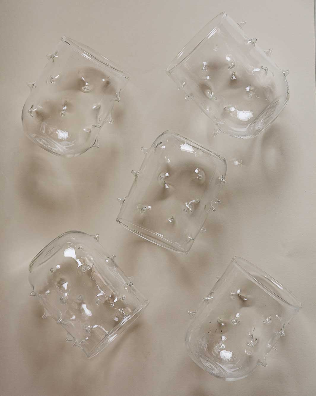 Glass puffer fish water